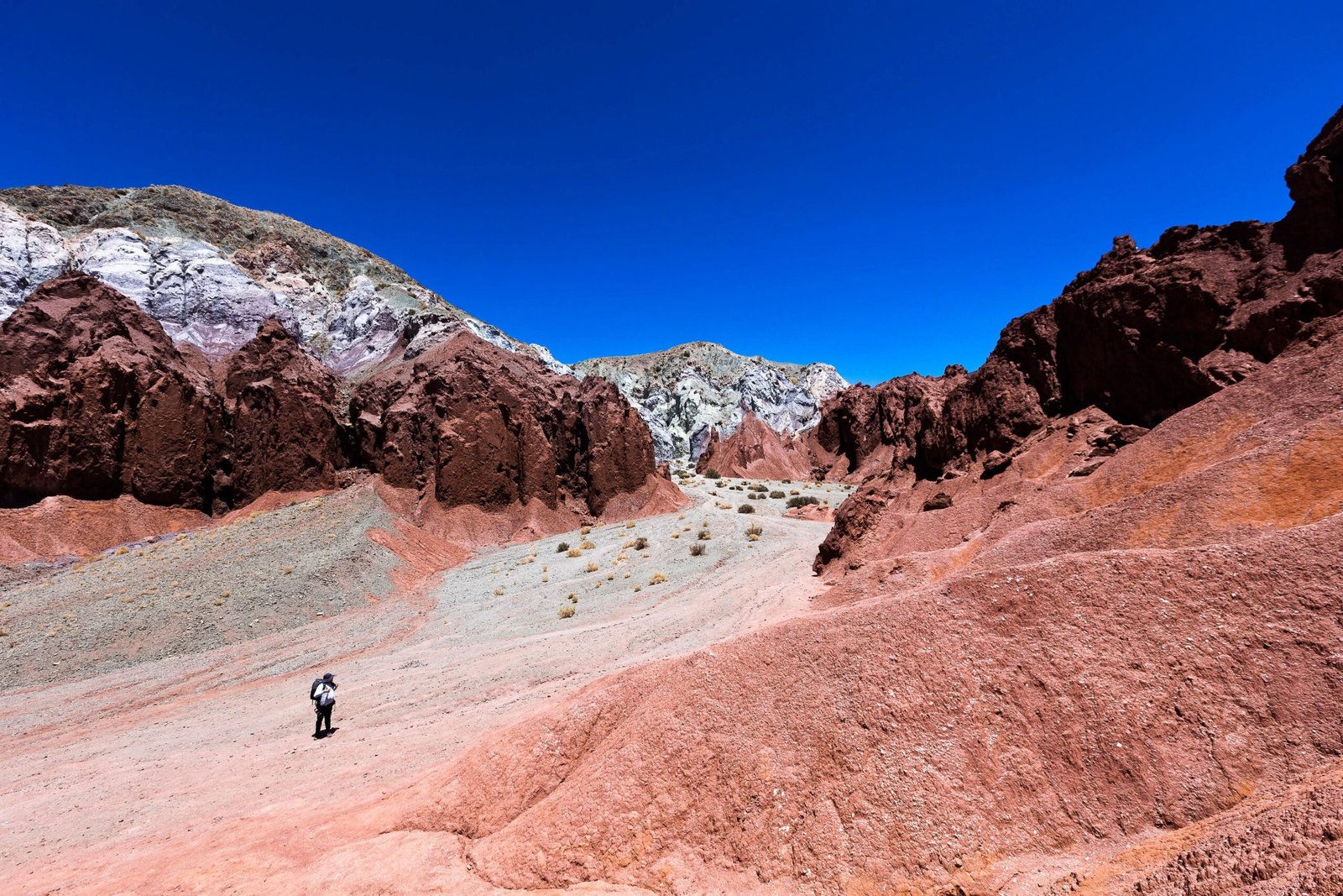 Fabricio-Zago-Atacama-41-compressed-scaled.jpg